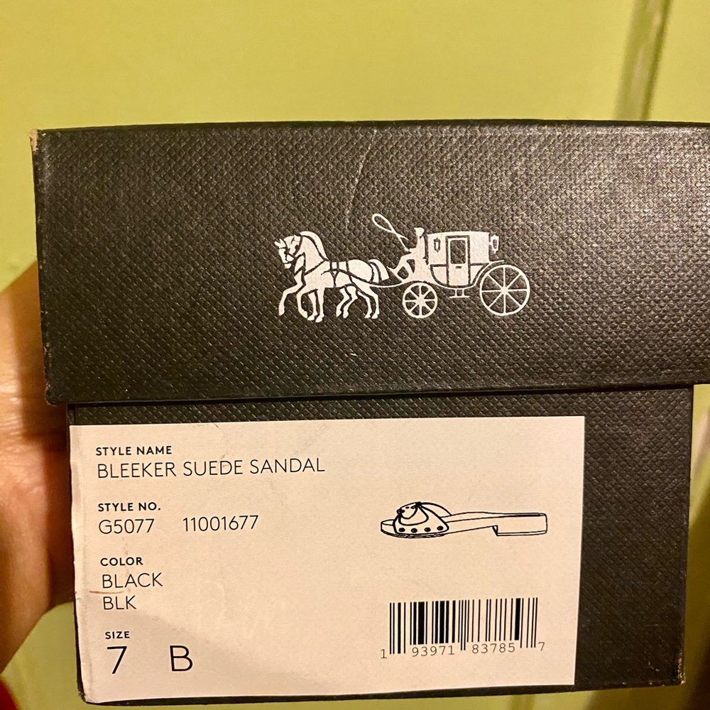 Bleeker Suede Sandals